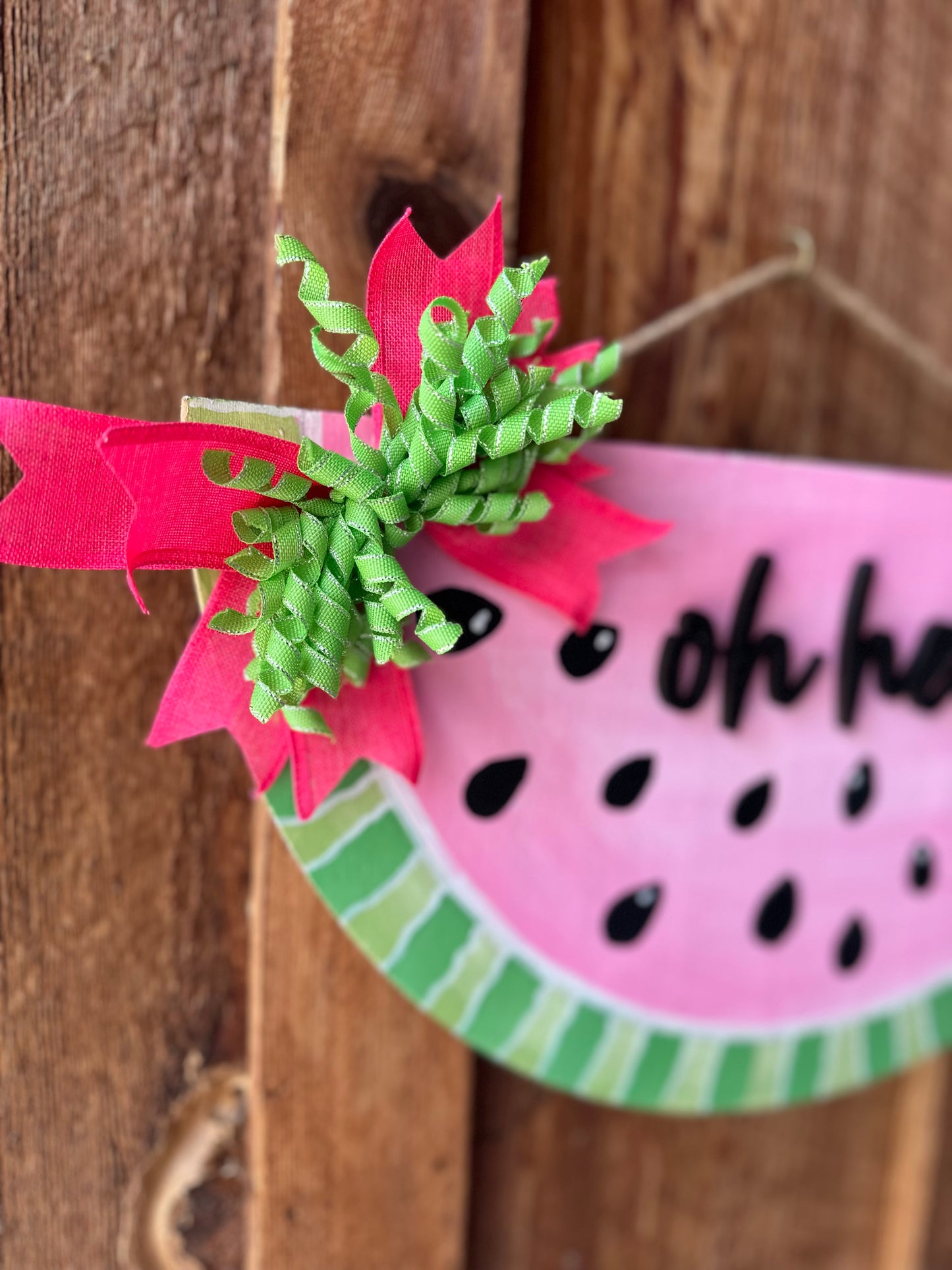 Oh, Hello Watermelon Door Hanger