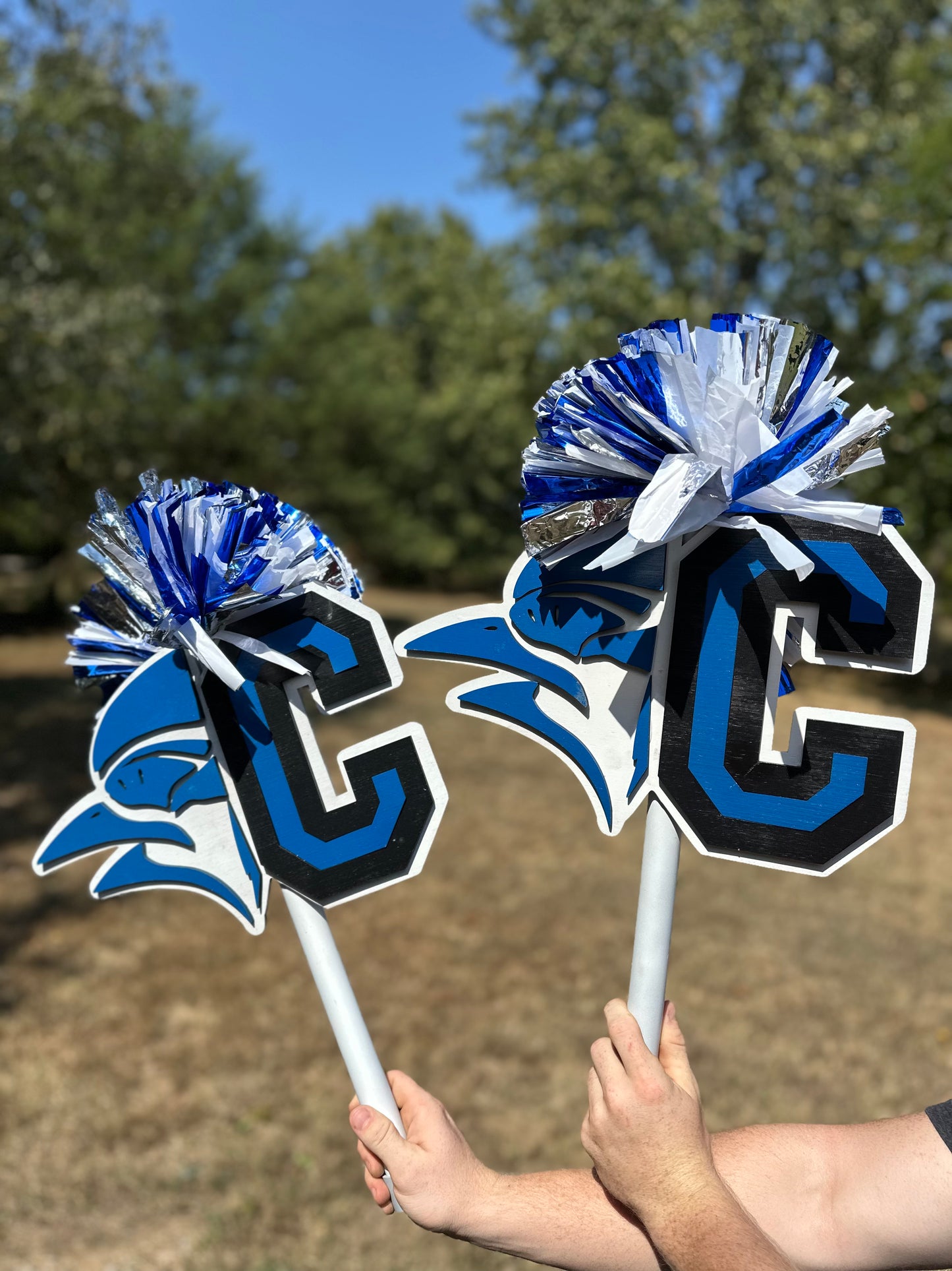 Spirit Cheer Stick